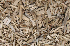 biomass boilers Dinton